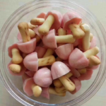 Chocolate-Mushroom-2